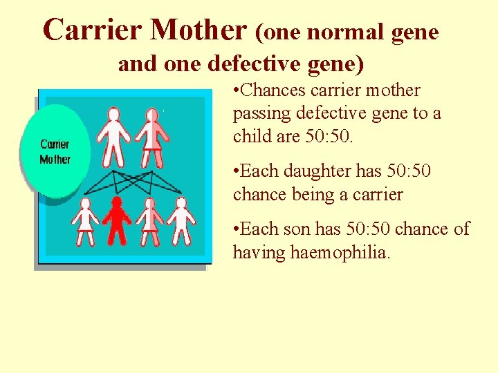 Carrier Mother (one normal gene and one defective gene) • Chances carrier mother passing