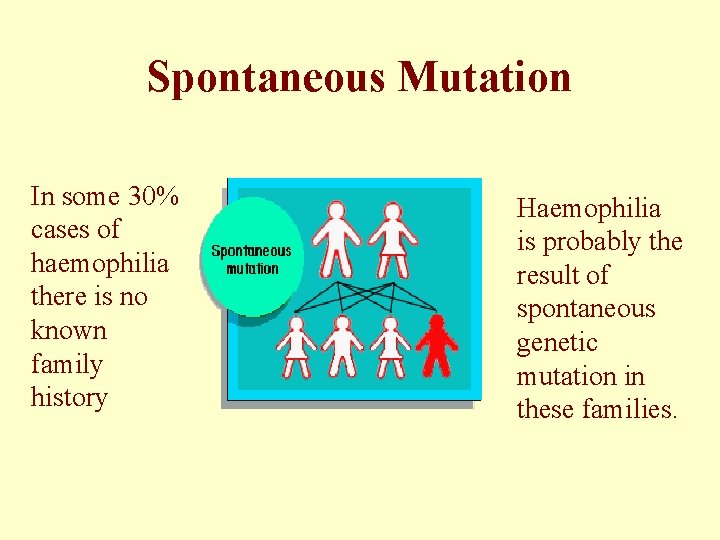 Spontaneous Mutation In some 30% cases of haemophilia there is no known family history