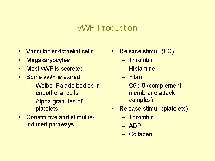 v. WF Production • • Vascular endothelial cells Megakaryocytes Most v. WF is secreted