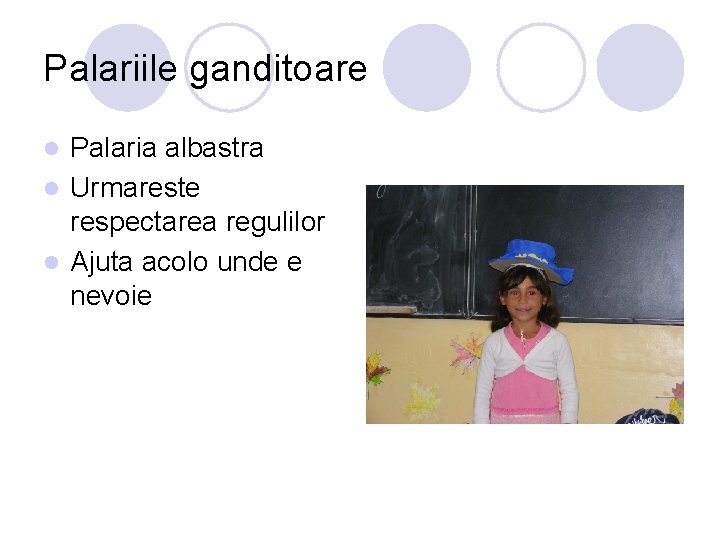 Palariile ganditoare Palaria albastra l Urmareste respectarea regulilor l Ajuta acolo unde e nevoie