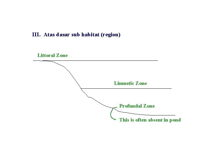 III. Atas dasar sub habitat (region) Littoral Zone Limnetic Zone Profundal Zone This is