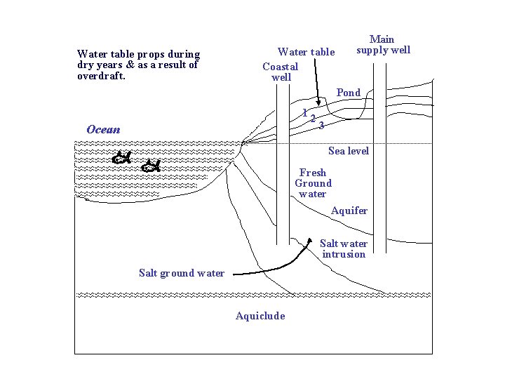 Water table props during dry years & as a result of overdraft. Water table