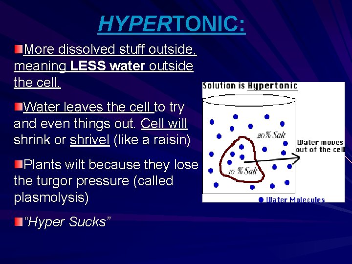 HYPERTONIC: More dissolved stuff outside, meaning LESS water outside the cell. Water leaves the