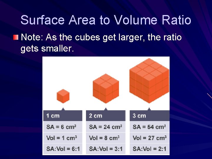 Surface Area to Volume Ratio Note: As the cubes get larger, the ratio gets