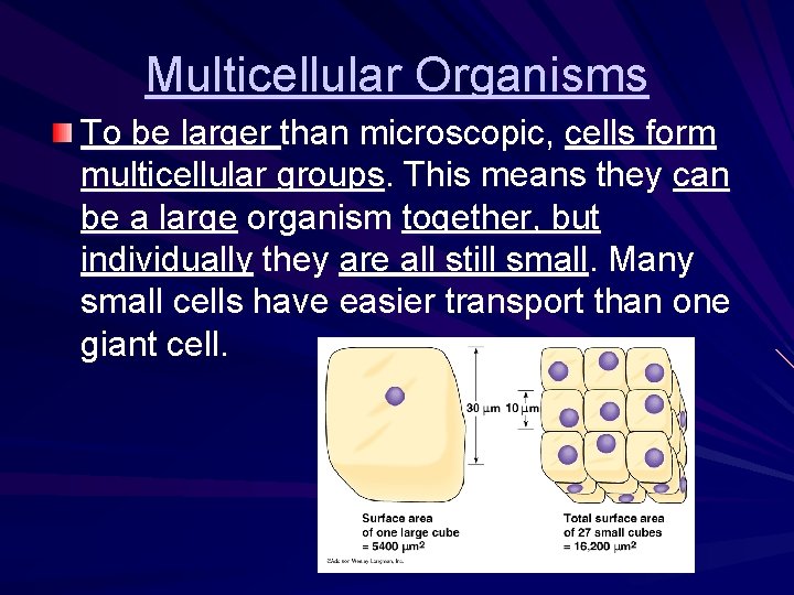 Multicellular Organisms To be larger than microscopic, cells form multicellular groups. This means they