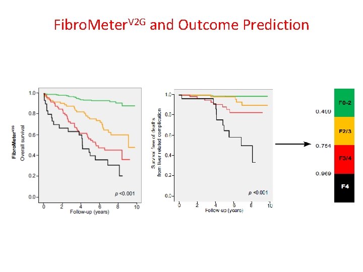 Fibro. Meter. V 2 G and Outcome Prediction 