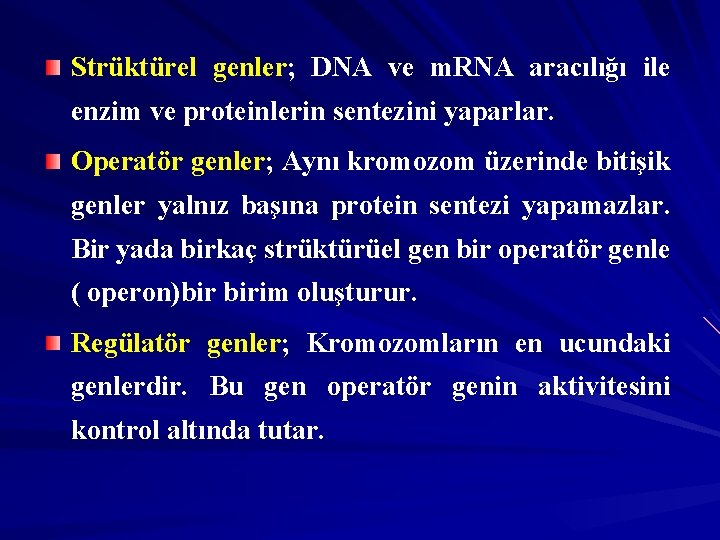 Strüktürel genler; DNA ve m. RNA aracılığı ile enzim ve proteinlerin sentezini yaparlar. Operatör