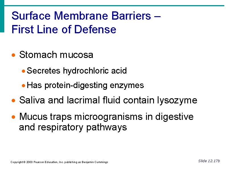 Surface Membrane Barriers – First Line of Defense Stomach mucosa Secretes hydrochloric acid Has