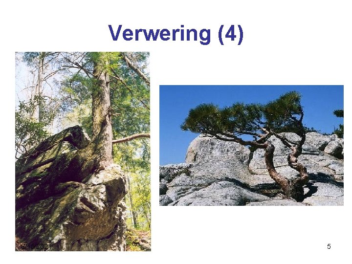 Verwering (4) 6/15/2021 5 