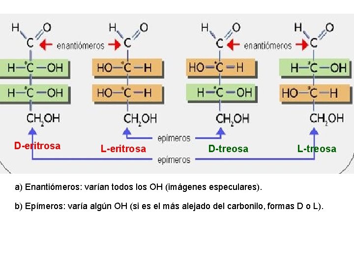 D-eritrosa L-eritrosa D-treosa L-treosa a) Enantiómeros: varían todos los OH (imágenes especulares). b) Epímeros: