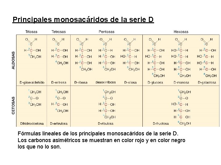 Principales monosacáridos de la serie D 2. Monosacáridos Fórmulas lineales de los principales monosacáridos