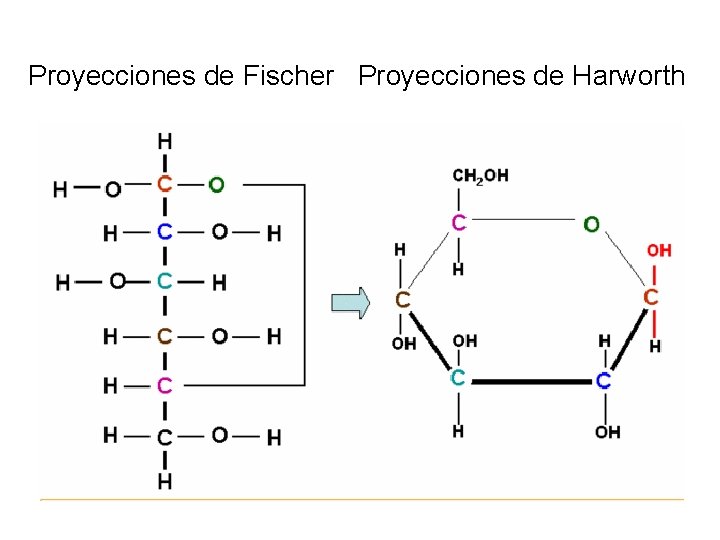 Proyecciones de Fischer Proyecciones de Harworth 