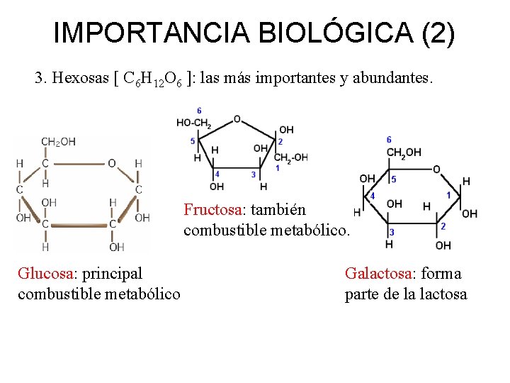 IMPORTANCIA BIOLÓGICA (2) 3. Hexosas [ C 6 H 12 O 6 ]: las