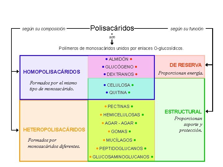 según su composición Polisacáridos según su función son Polímeros de monosacáridos unidos por enlaces