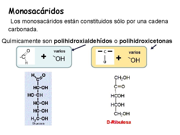 Monosacáridos Los monosacáridos están constituidos sólo por una cadena carbonada. Químicamente son polihidroxialdehídos o