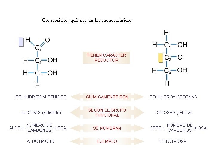 Composición química de los monosacáridos TIENEN CARÁCTER REDUCTOR POLIHIDROXIALDEHÍDOS QUÍMICAMENTE SON POLIHIDROXICETONAS ALDOSAS (aldehído)