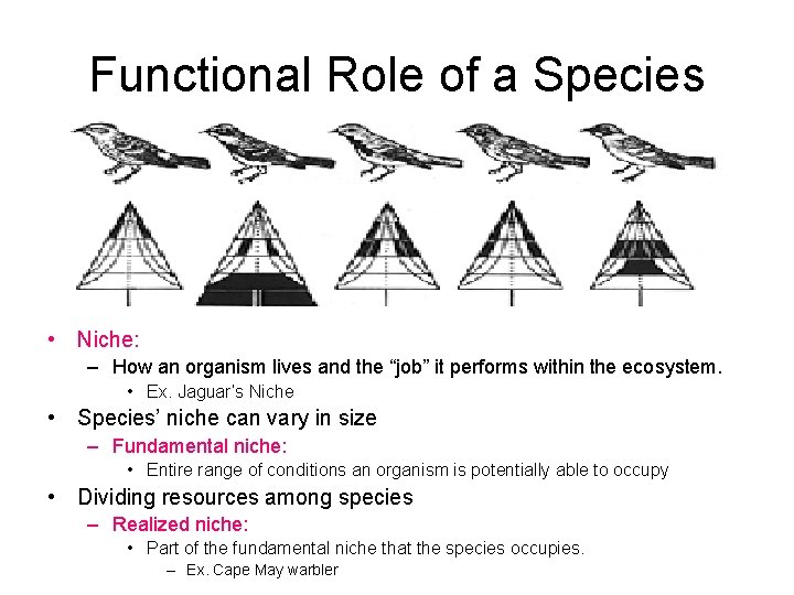 Functional Role of a Species • Niche: – How an organism lives and the