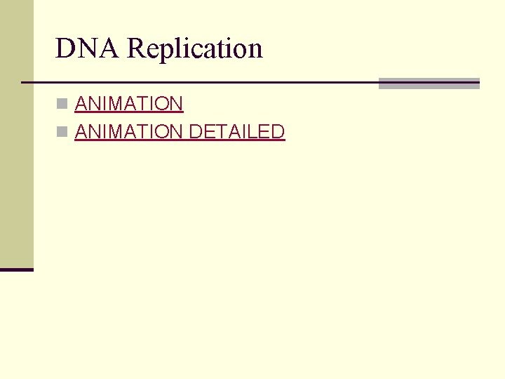 DNA Replication n ANIMATION DETAILED 
