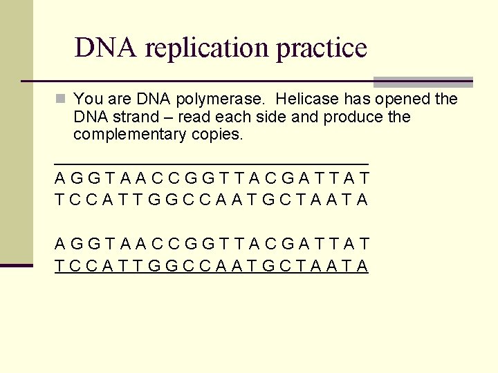 DNA replication practice n You are DNA polymerase. Helicase has opened the DNA strand