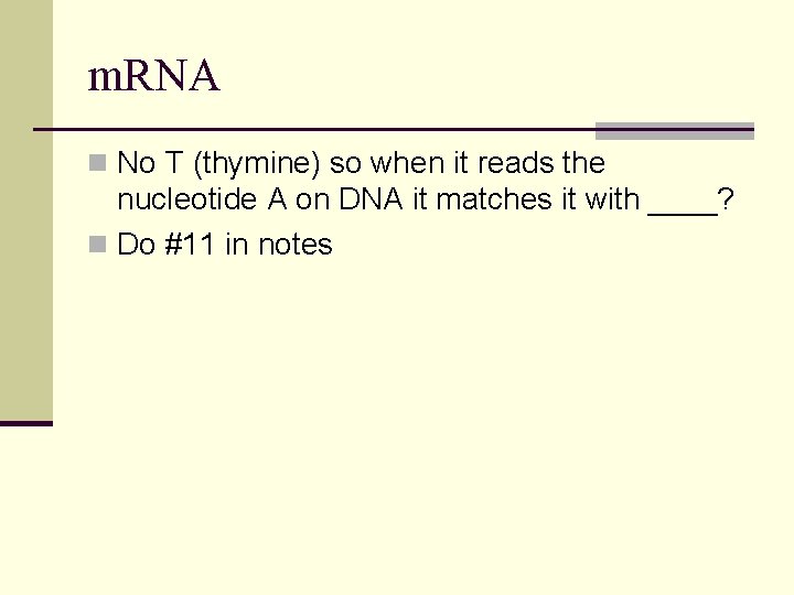 m. RNA n No T (thymine) so when it reads the nucleotide A on