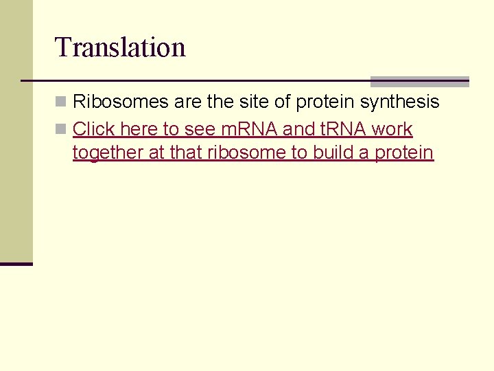 Translation n Ribosomes are the site of protein synthesis n Click here to see