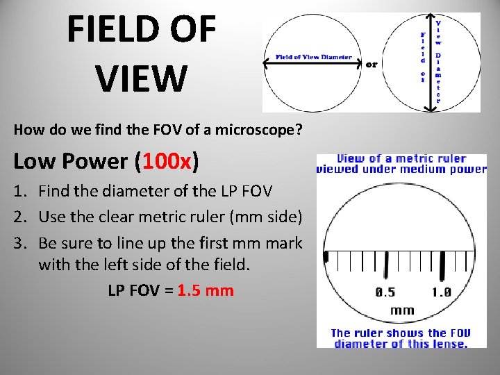 FIELD OF VIEW How do we find the FOV of a microscope? Low Power