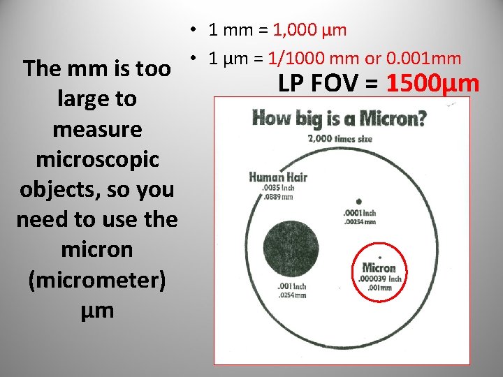 The mm is too large to measure microscopic objects, so you need to use