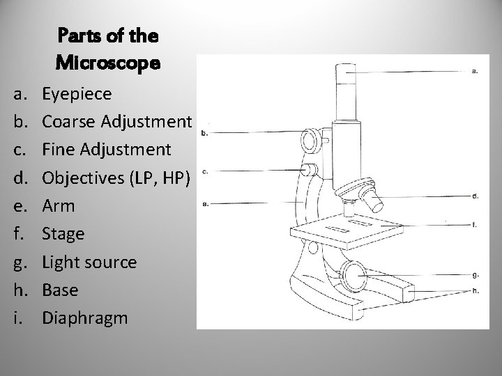 Parts of the Microscope a. b. c. d. e. f. g. h. i. Eyepiece
