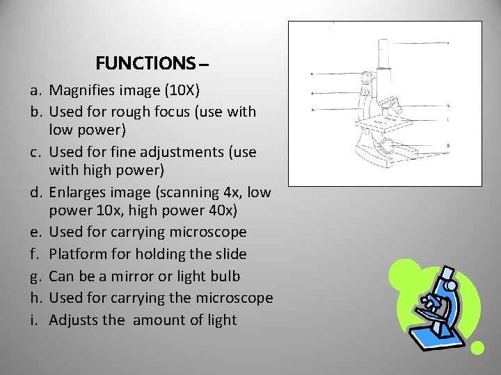 FUNCTIONS – a. Magnifies image (10 X) b. Used for rough focus (use with