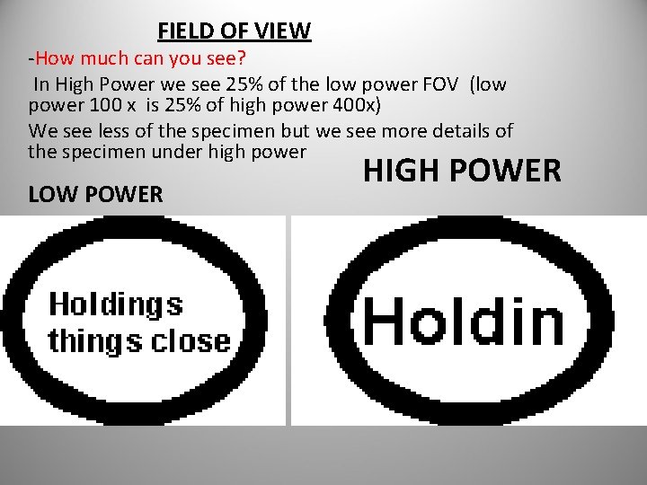 FIELD OF VIEW -How much can you see? In High Power we see 25%