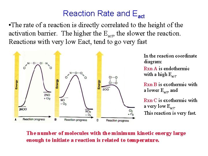 Reaction Rate and Eact • The rate of a reaction is directly correlated to