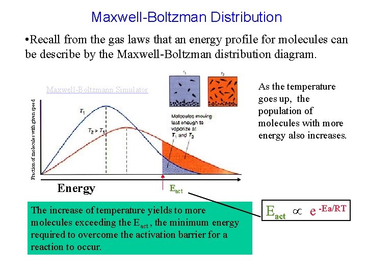 Maxwell-Boltzman Distribution • Recall from the gas laws that an energy profile for molecules