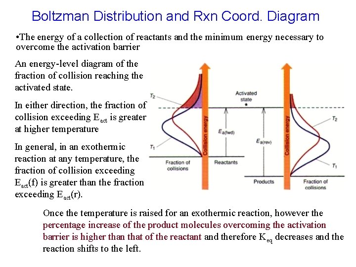 Boltzman Distribution and Rxn Coord. Diagram • The energy of a collection of reactants