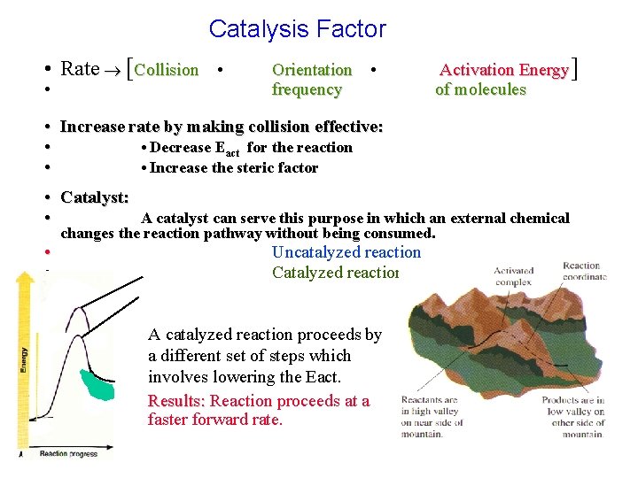 Catalysis Factor • Rate [Collision • • Orientation • frequency Activation Energy] of molecules