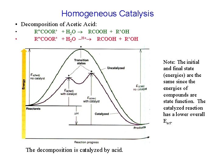 Homogeneous Catalysis • Decomposition of Acetic Acid: • • R”COOR’ + H 2 O