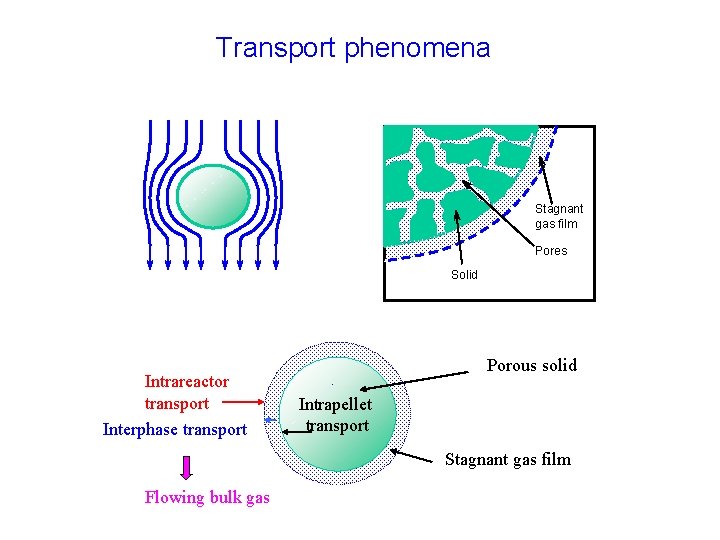 Transport phenomena Stagnant gas film Pores Solid Intrareactor transport Interphase transport Porous solid Intrapellet