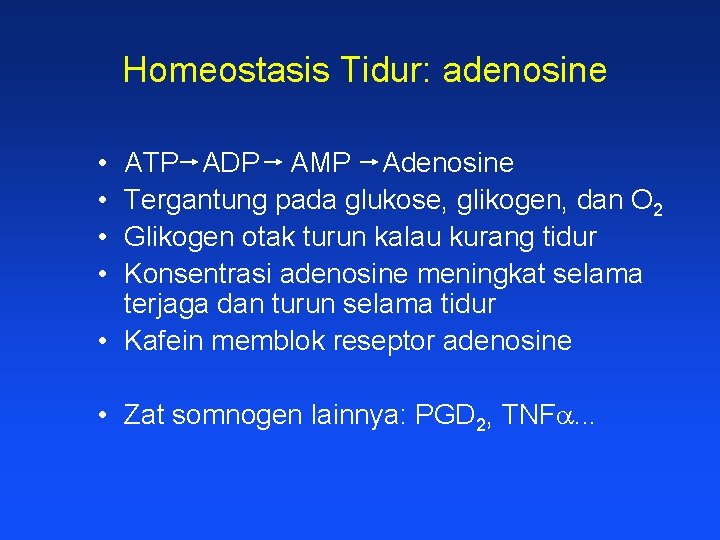 Homeostasis Tidur: adenosine • • ATP ADP AMP Adenosine Tergantung pada glukose, glikogen, dan