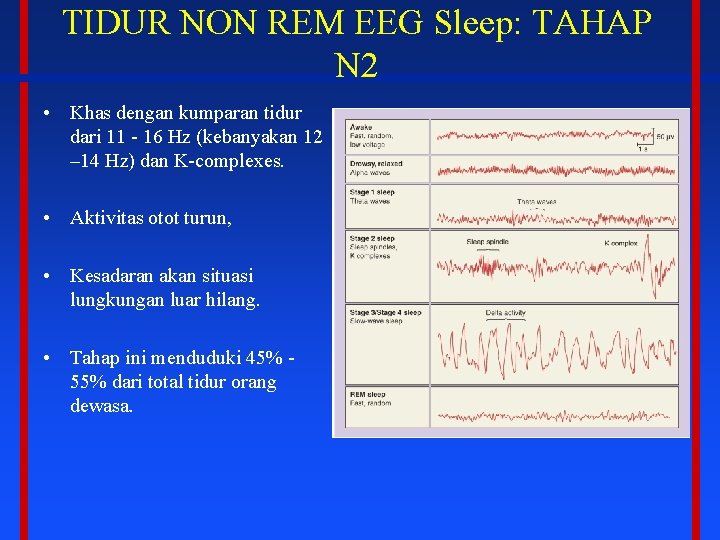 TIDUR NON REM EEG Sleep: TAHAP N 2 • Khas dengan kumparan tidur dari