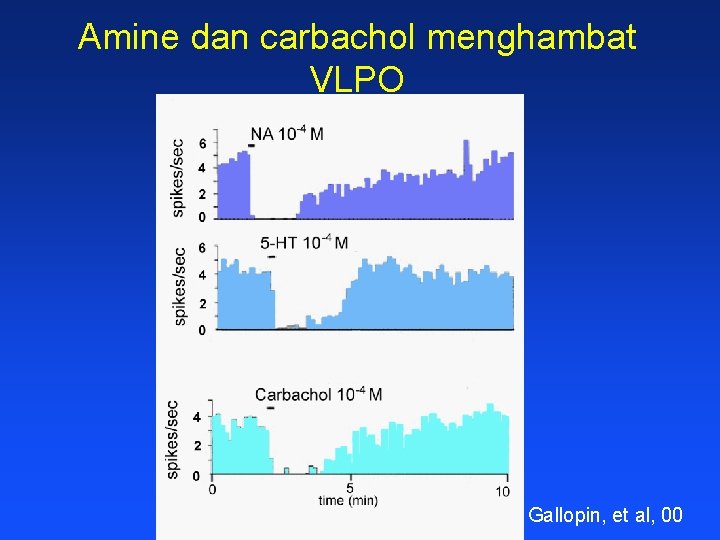Amine dan carbachol menghambat VLPO Gallopin, et al, 00 