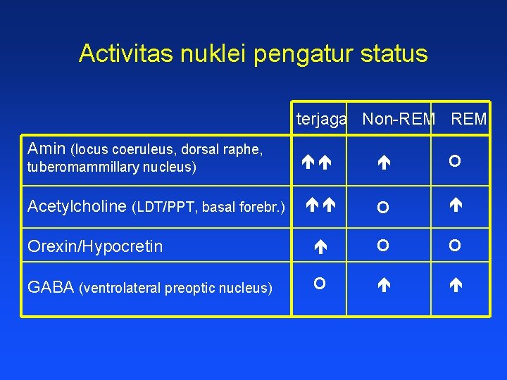 Activitas nuklei pengatur status terjaga Non-REM Amin (locus coeruleus, dorsal raphe, tuberomammillary nucleus) éé