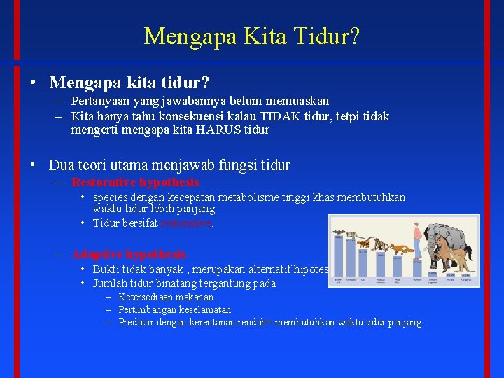 Mengapa Kita Tidur? • Mengapa kita tidur? – Pertanyaan yang jawabannya belum memuaskan –