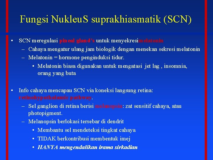 Fungsi Nukleu. S suprakhiasmatik (SCN) • SCN meregulasi pineal gland’s untuk menyekresimelatonin – Cahaya