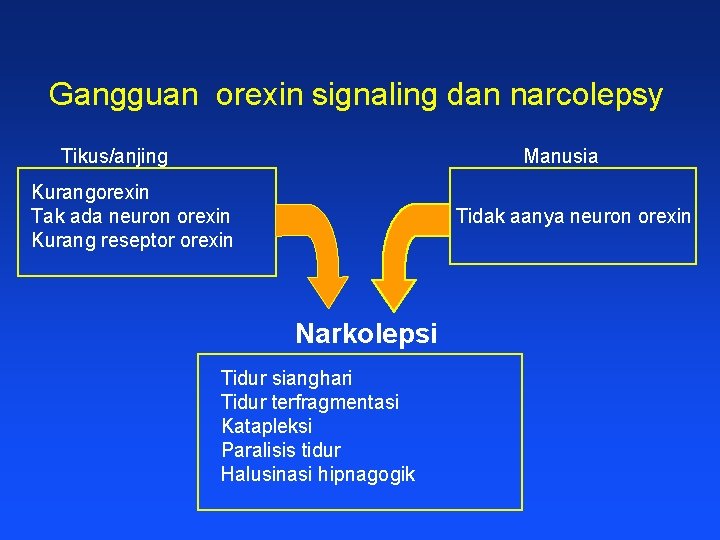 Gangguan orexin signaling dan narcolepsy Tikus/anjing Manusia Kurangorexin Tak ada neuron orexin Kurang reseptor