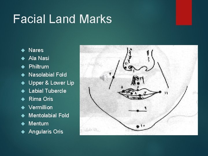 Facial Land Marks Nares Ala Nasi Philtrum Nasolabial Fold Upper & Lower Lip Labial