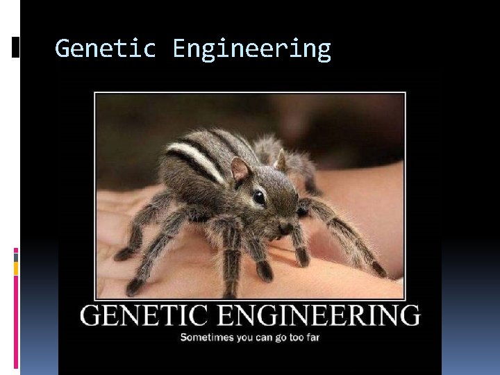 Genetic Engineering 