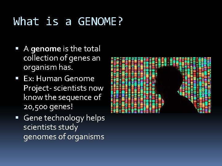 What is a GENOME? A genome is the total collection of genes an organism