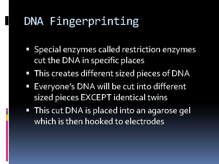 DNA Fingerprinting Special enzymes called restriction enzymes cut the DNA in specific places This