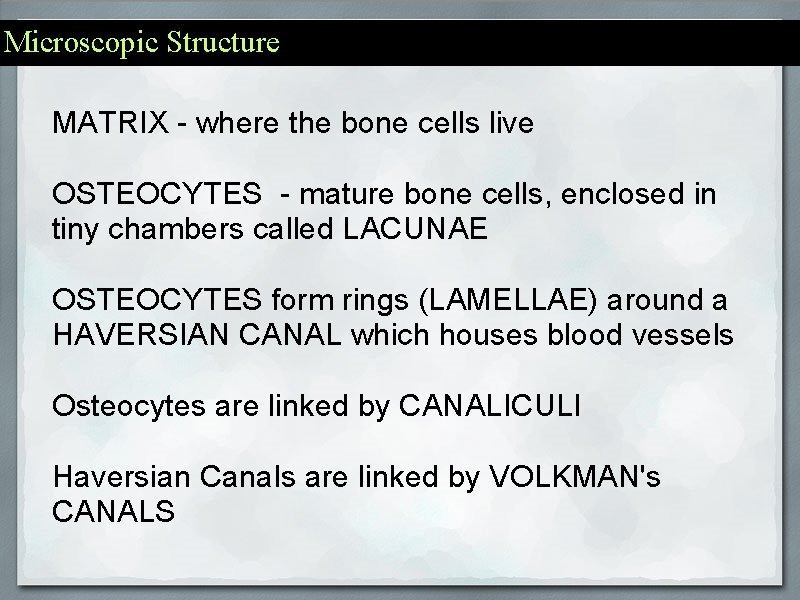 Microscopic Structure MATRIX - where the bone cells live OSTEOCYTES - mature bone cells,