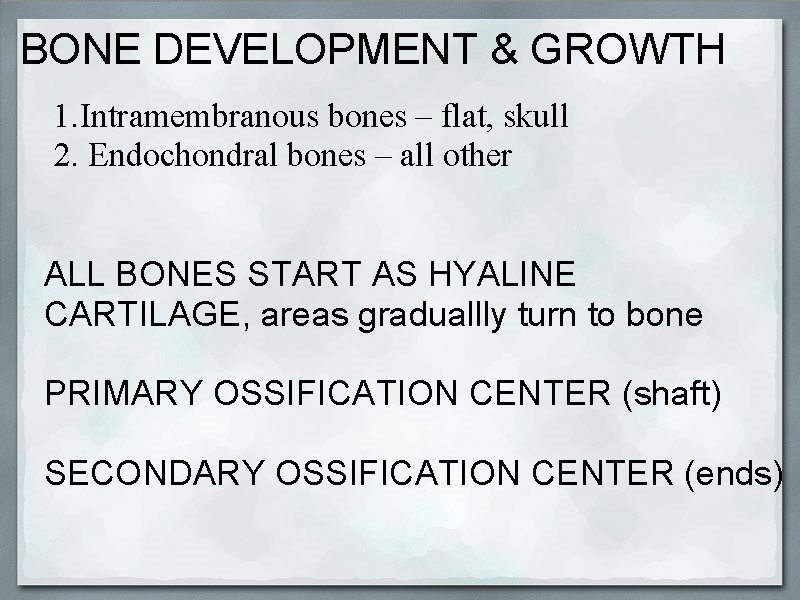 BONE DEVELOPMENT & GROWTH 1. Intramembranous bones – flat, skull 2. Endochondral bones –