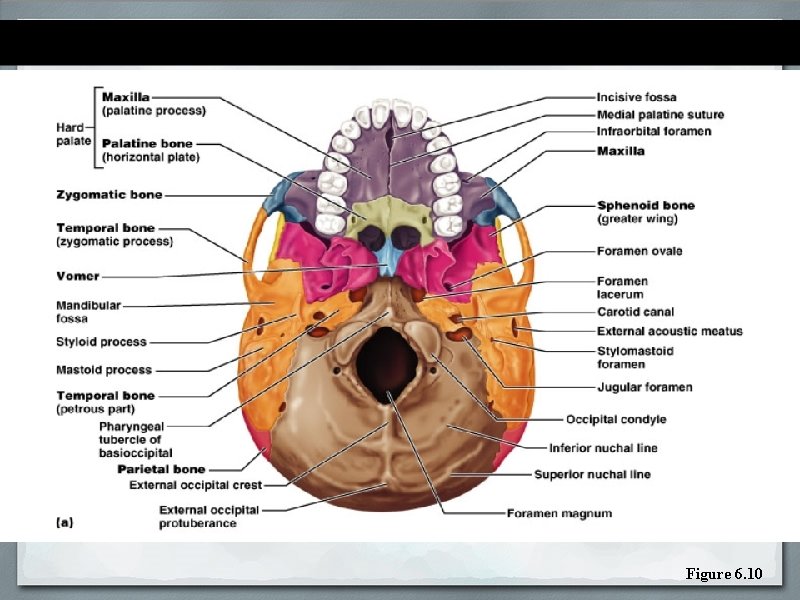 Figure 6. 10 